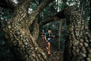 BIB: 
                            <button type="button" onclick="openModal(25392948)" class="btn btn-primary btn-sm float-right btn-popup" data-toggle="modal" data-target=".modal-high-quality">
                        <i class="fas fa-shopping-cart"></i> Add to Cart
                    </button>
                                            <button type="button" onclick="isThisMe(25392948, true)" class="btn btn-success btn-sm float-right btn-popup btn-isme hidden" data-toggle="tooltip" data-placement="bottom" title="นี่คือรูปของคุณใช่ไหม คลิกที่นี่เพื่อเอาเข้าอัลบั้ม">
                        <i class="fas fa-plus"></i> Add to album
                    </button>
                    <button type="button" onclick="isThisMe(25392948, false)" class="btn btn-warning btn-sm float-right btn-popup btn-isnotme hidden">
                        <i class="fas fa-ban"></i> Remove from album
                    </button>